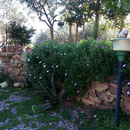 Appartamento Titina Jerzu Exteriér fotografie