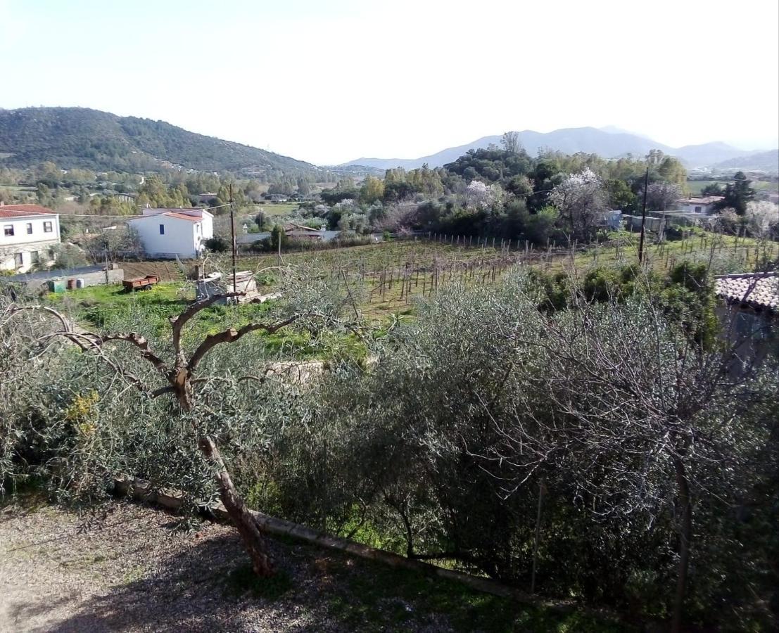 Appartamento Titina Jerzu Exteriér fotografie